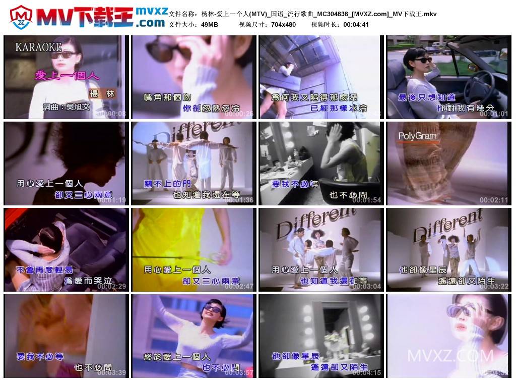 杨林-爱上一个人(MTV)_国语_流行歌曲_MC304838